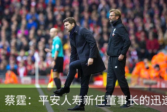 蔡霆：平安人寿新任董事长的迅速崛起